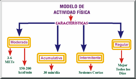 MODELO DE ACTIVIDAD FSICA