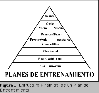 Fig1: Secuencia Piramidal de la Planificacin Cclica
