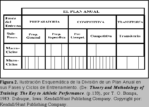 Fig. 2: Divisin de un Plan Anual